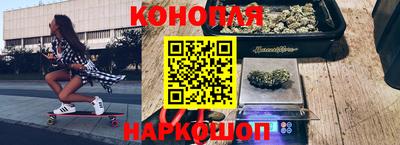 индика Бердск